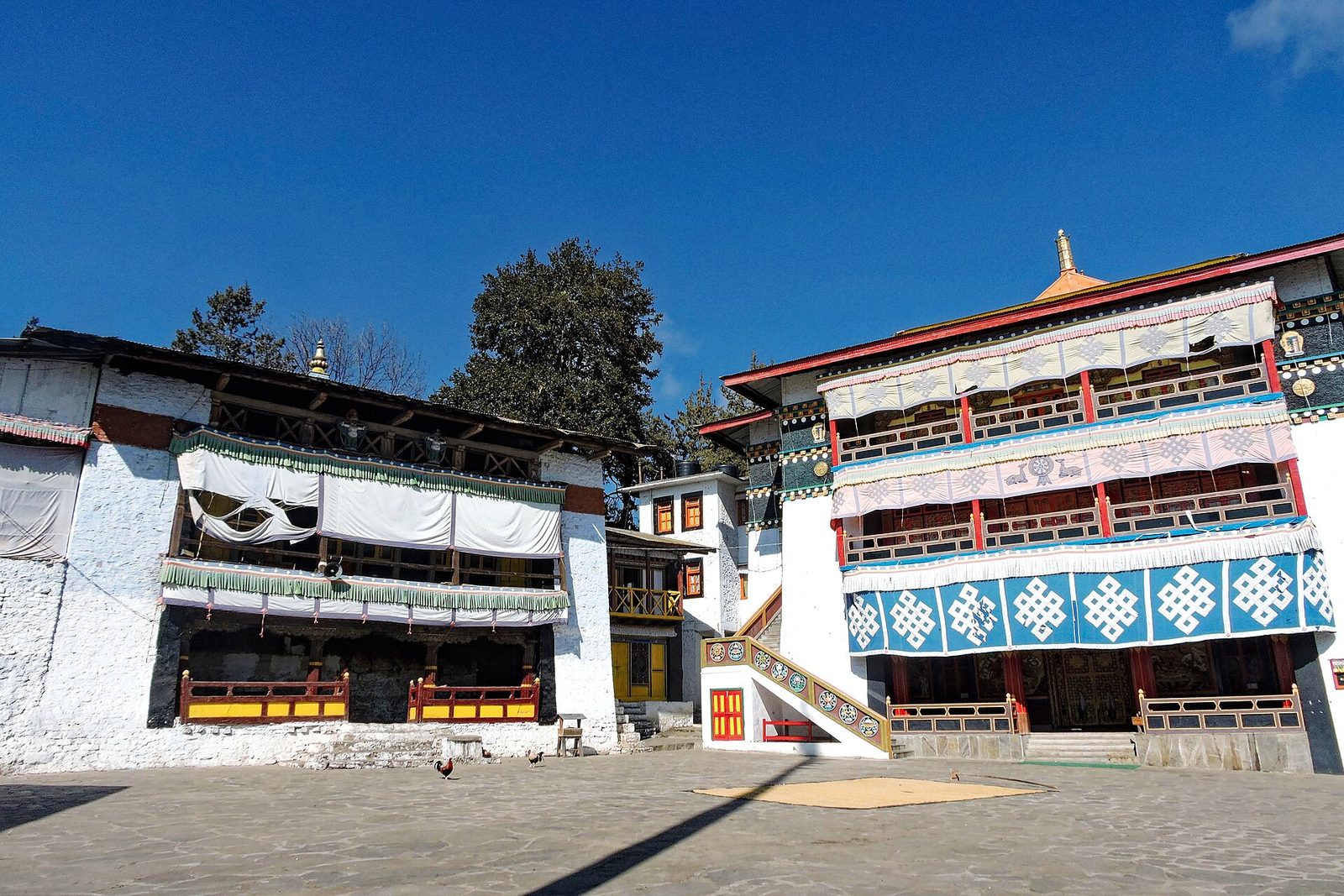 Discovering Arunachal Pradesh